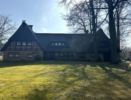 Zauberhaftes Reetdachhaus mit Einliegerwohnung, Nebengebäude und Wiese